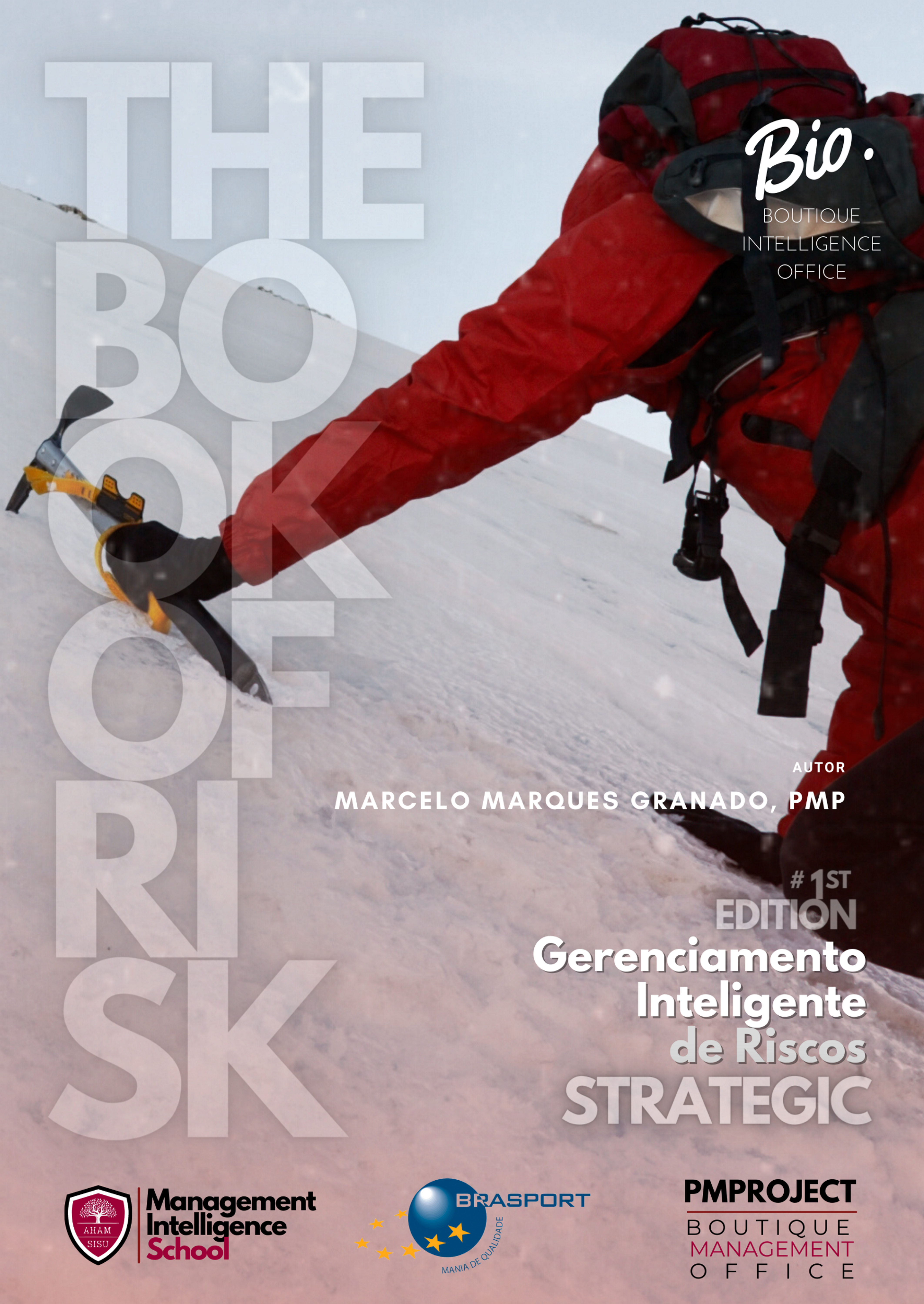 Gerenciamento Inteligente de Riscos - Strategic