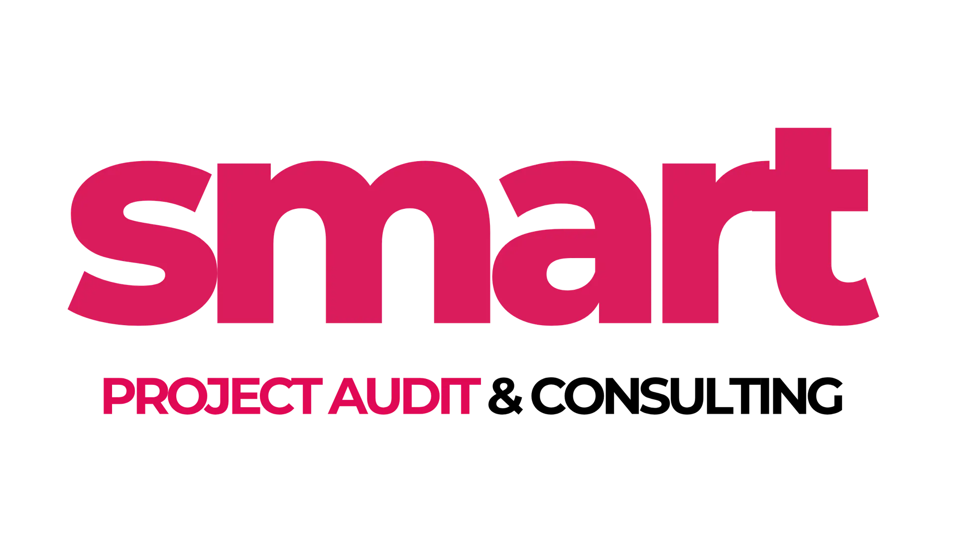SMART PROJECT AUDIT CONSULTING