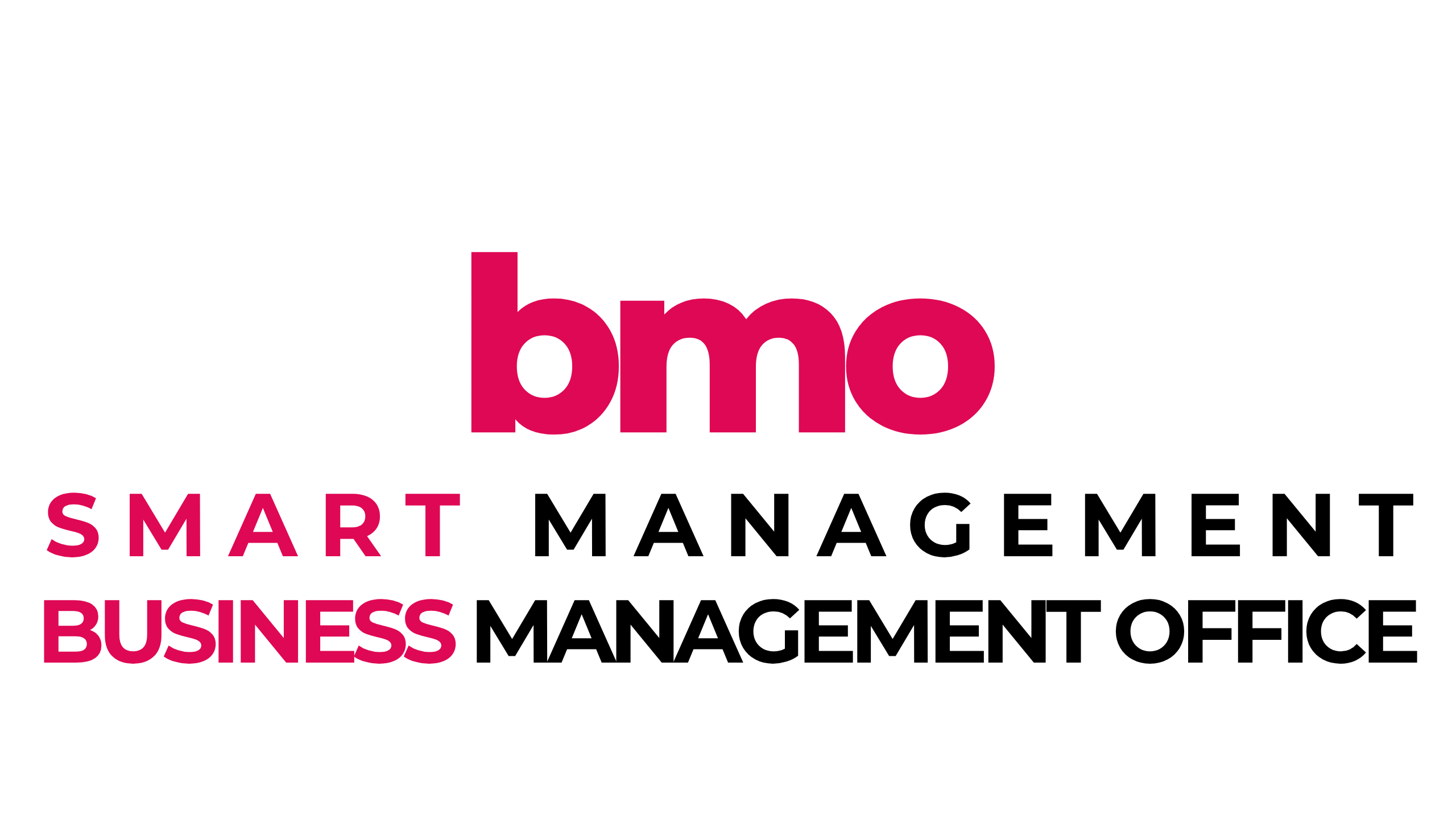 CONSULTORIA EM GESTÃO INTELIGENTE - ESCRITÕRIO DE GESTÃO INTELIGENTE DE NEGÕCIOS