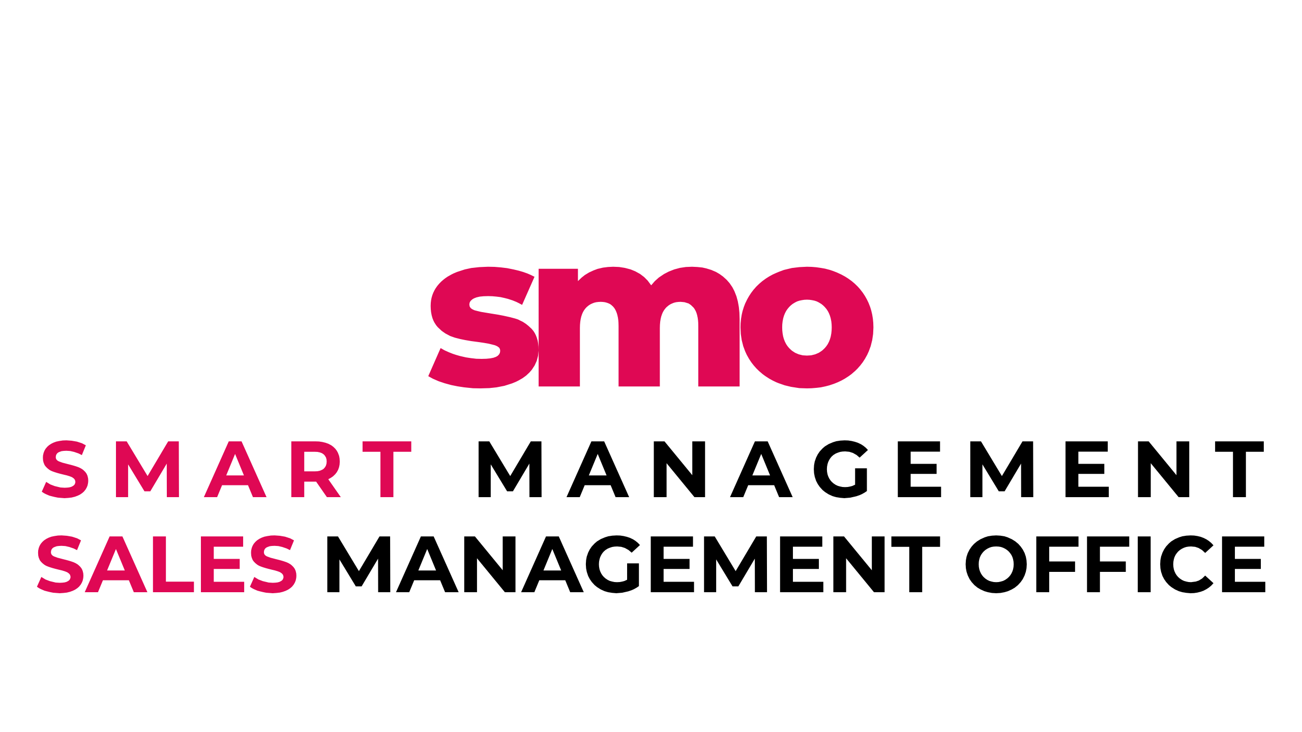 CONSULTORIA EM GESTÃO INTELIGENTE - ESCRITÕRIO DE GESTÃO INTELIGENTE DE VENDAS